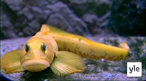 Bornholm: 11.07.2021 07.15