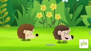 Siilihikka (S): 12.07.2021 17.01