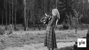 Filmikellari: 14.07.2021 14.53