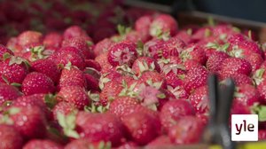 Novosti Yle: 19.07.2021 16.55