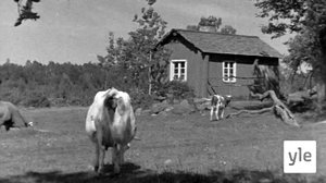 Ennen vanhaan Ahvenanmaalla: 25.07.2021 00.01