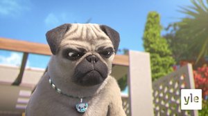 Neljäs kilpikonna (7): 25.07.2021 10.00