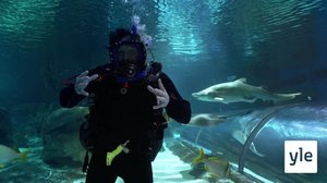 Tunto: 26.07.2021 06.00