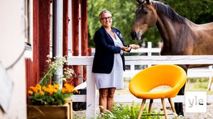 Suomessa on menossa hevosbuumi: 27.07.2021 18.20