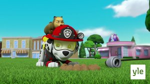 Huipputehtävä: Pennut pelastavat avajaisseremonian / Huipputehtävä: Pennut pelastavat urheilukisat (S): 29.07.2021 10.00