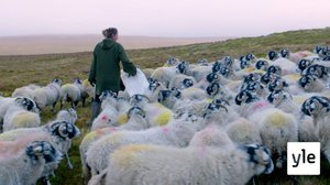 Rankat ajat: 05.08.2021 06.00