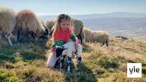 Sulkutila: 05.08.2021 06.00