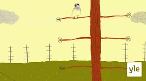 Gotka, heavdni ja máhttu gilvalit: 13.08.2021 06.00