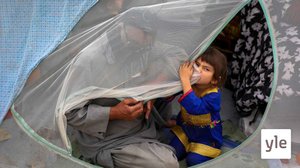 Ylen erikoislähetys Afganistanin tilanteesta: 15.08.2021 15.25