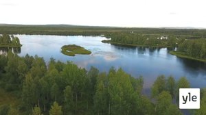 Urheiluruutu: 18.08.2021 21.53