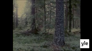 Sienisato talteen: 21.08.2021 00.01