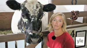 Hästar och andra djur (S): 22.08.2021 09.42