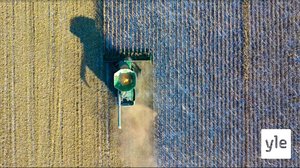 Ruoka: 23.08.2021 06.00