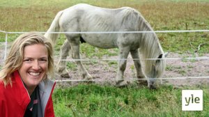 BUU-klubben: 23.08.2021 18.00