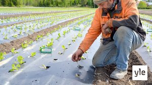 Ilmastonmuutos voi aiheuttaa taloussokin tulevina vuosina: 24.08.2021 10.00