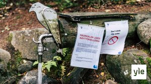 Suositulla lähteellä on ollut ihmisiä jonoksi saakka – nyt lähde on käyttökiellossa: 24.08.2021 10.54