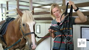 Lisa sadlar och tränsar en häst (S): 25.08.2021 09.29