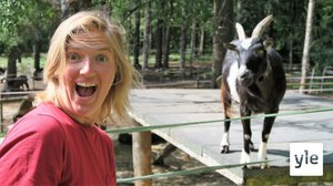 BUU-klubben: 29.08.2021 08.30