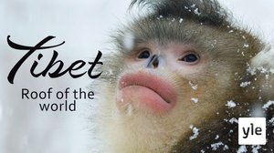 Avara luonto: Tiibetin ylänkö: 30.08.2021 06.00