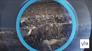 Oddasat: 02.09.2021 22.00