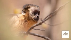 Brasilia: 06.09.2021 06.00