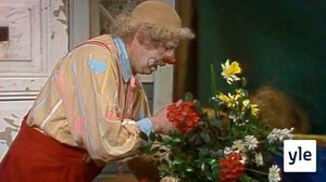 Hermanni hoitaa kukkaa (S): 07.09.2021 00.01