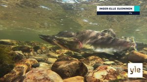 Yle Oddasat: 09.09.2021 15.45