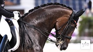 GP  freestyle: 11.09.2021 17.30