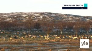 Yle Oddasat: 14.09.2021 16.45