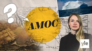 Näin ilmastonmuutos vaikuttaa golfvirran heikkenemiseen: 16.09.2021 10.51