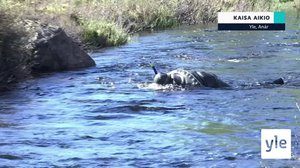 Yle Oddasat: 17.09.2021 16.45