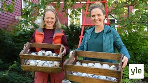 Säilötään sato: 18.09.2021 00.01