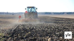 Viljelijät kovilla: "Henkiset paineet voivat olla itse työtä raskaampia": 19.09.2021 00.01