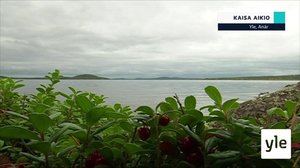 Yle Oddasat: 21.09.2021 16.45