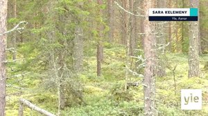 Yle Oddasat: 04.10.2021 16.45