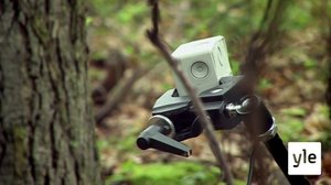 Ansametsästystä BBC:n tyyliin: 05.10.2021 06.00