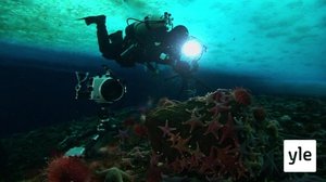 Merenpohjan saloja kuvaamassa: 06.10.2021 06.00