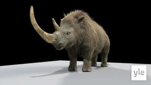 Luontokuvaajien aikamatkat: 07.10.2021 06.00