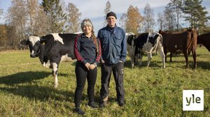 Turvepellon omistajat kertovat, miksi maatalouden ilmastotoimet jumittavat: 07.10.2021 10.55
