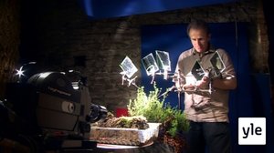 Pieniä otuksia, suuria tarinoita: 08.10.2021 06.00