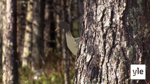 Čuánjá: 08.10.2021 06.00