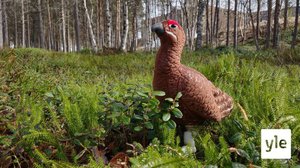 Riävská: 08.10.2021 06.00