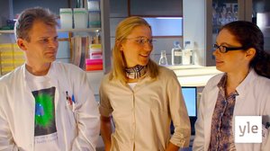 Lupaus (S): 14.10.2021 00.01