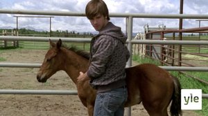 Kasvukipuja (7): 15.10.2021 06.00