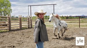 Aavehevonen (12): 15.10.2021 06.00