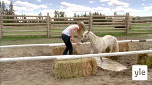 Pelastaja (7): 15.10.2021 06.00