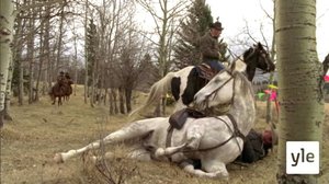 Musta hevonen (S): 15.10.2021 06.00