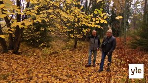 Juhat luonnossa: Ruskan värit: 15.10.2021 09.28