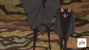 Lepakot (S): 16.10.2021 10.00