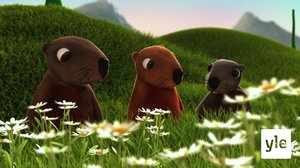 Murmelit (S): 16.10.2021 10.00